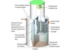Панда Дана 2