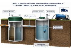 Эпишура 5 Миди